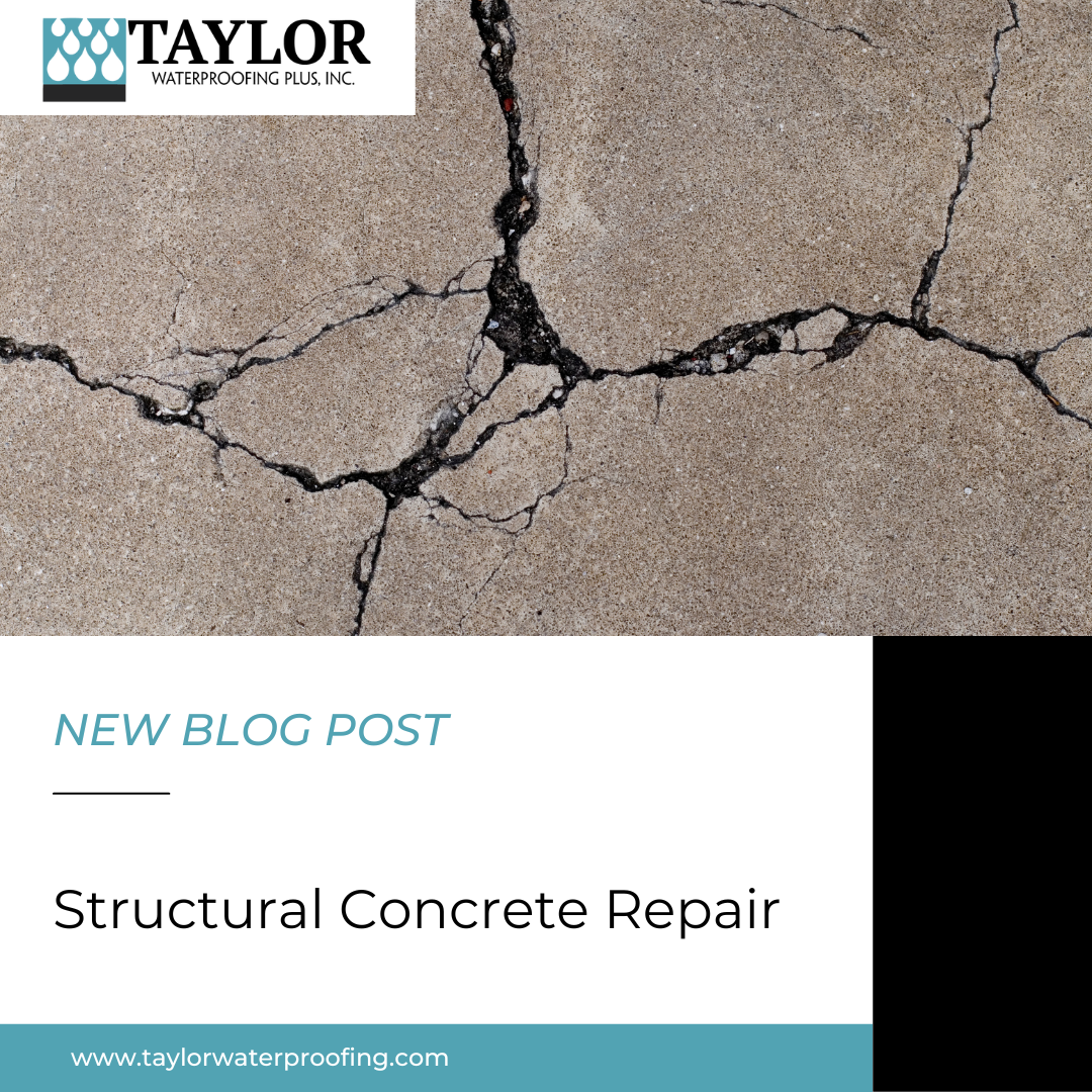 Structural Concrete Repair - Taylor Waterproofing - Blog